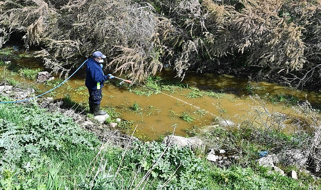 İzmir Büyükşehir Belediyesi ilaçlama çalışmalarına hız verdi