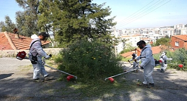 Yaz Öncesi Yoğun Kosa Mesais