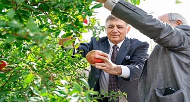 İzmir Büyükşehir Belediyesi üreticiye desteğini sürdürdü